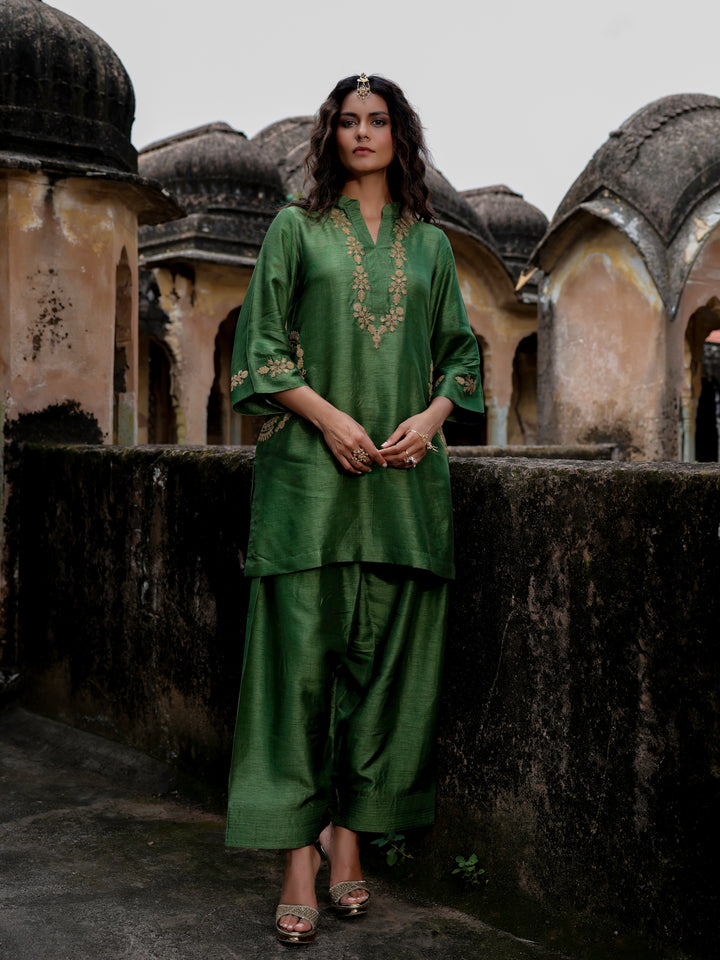 RAVINA