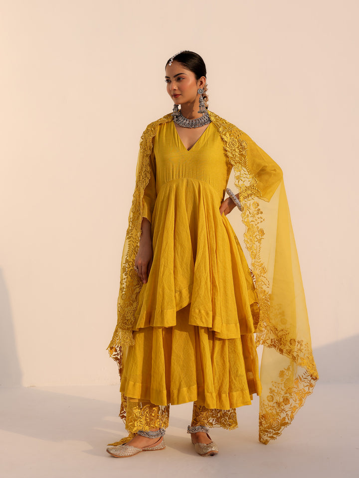 Anvi