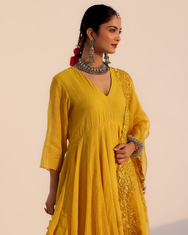 Anvi