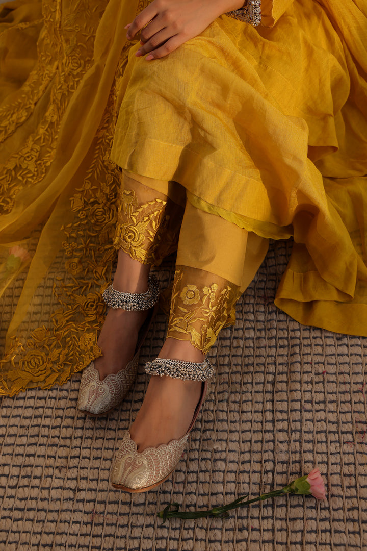 Anvi